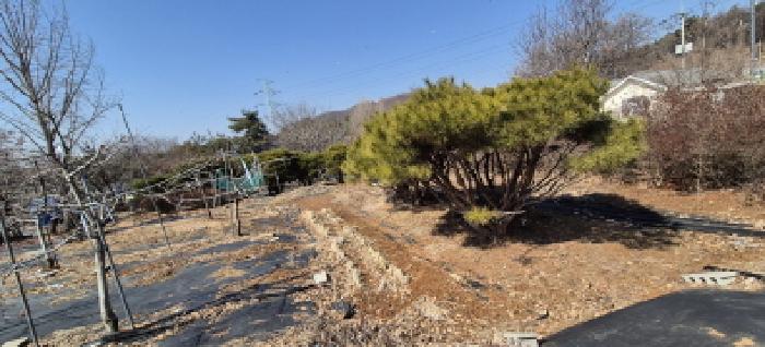 토지전경도(목록1)(제시외 나무)