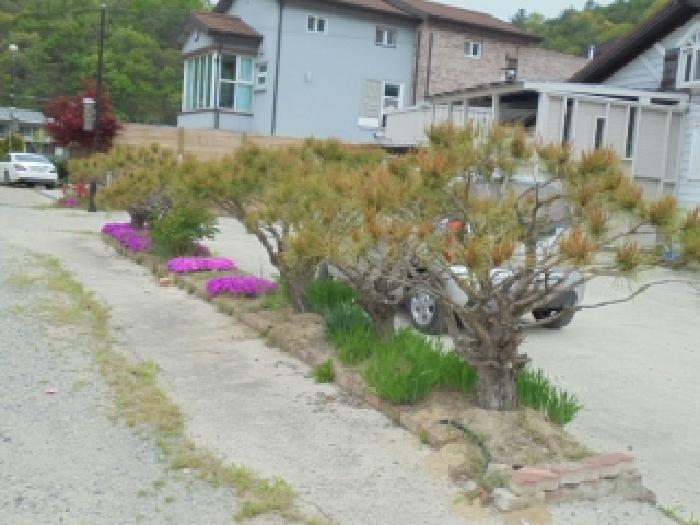 제시외13