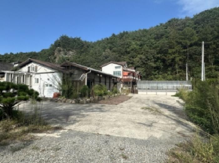 본건