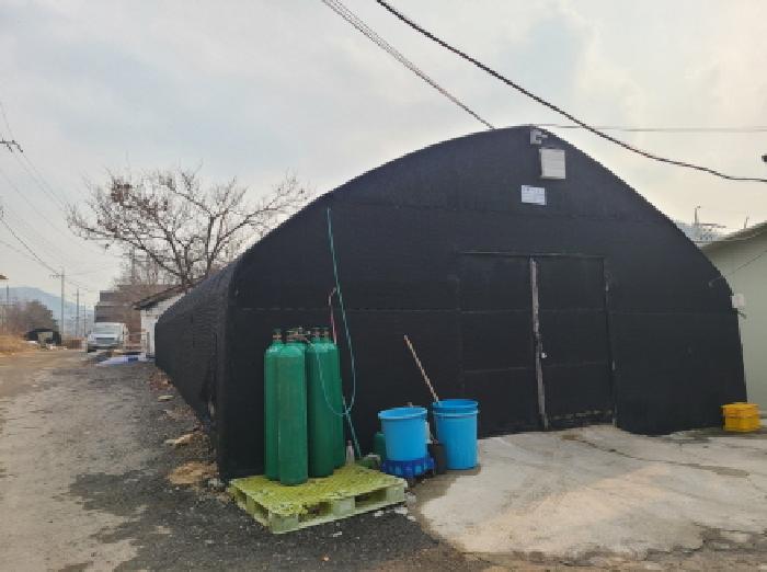 제시외 비닐하우스(건물 좌측)