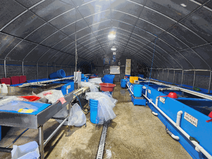 제시외건물㉠ 내부