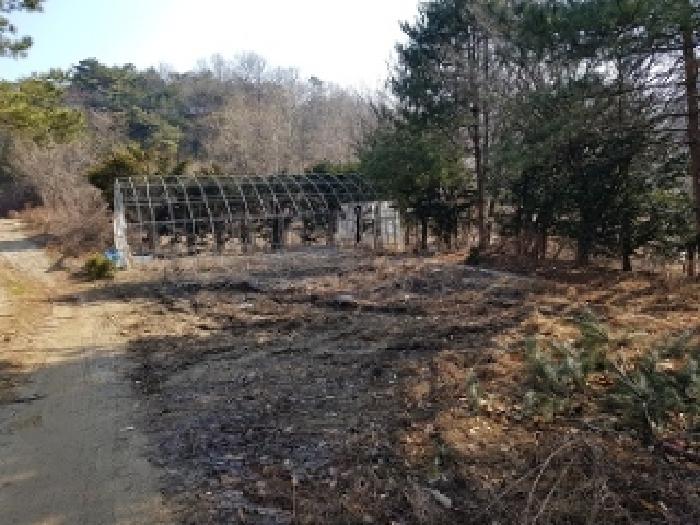 목록1 근접촬영(전 부분 및 비닐하우스)