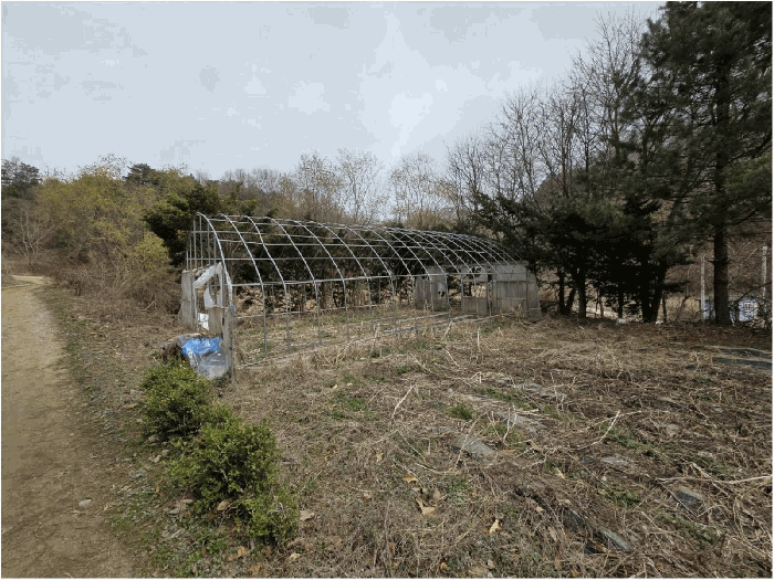 기호(1) 지상 제시외비닐하우스