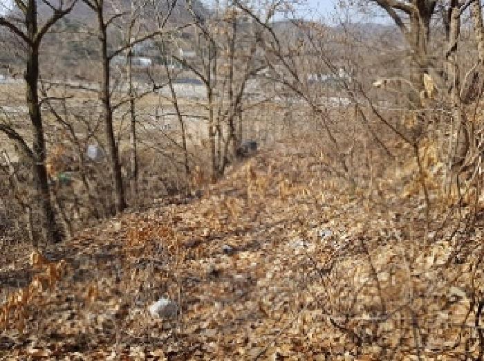 목록1 근접촬영(휴경지)