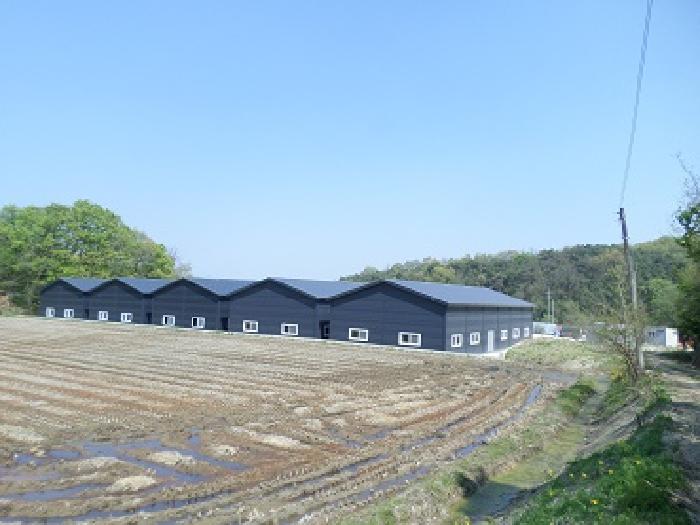 이 사건 토지 및 건물 일대(서측에서 촬영)