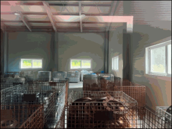 【 기호(12) 내부 】