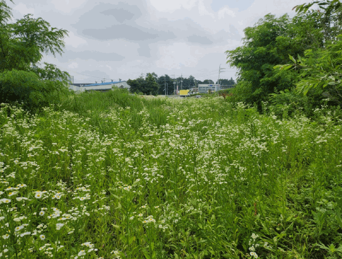 본건 전경(북측부분)