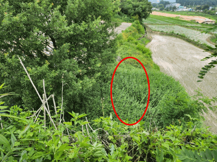 본건 전경(북측부분)