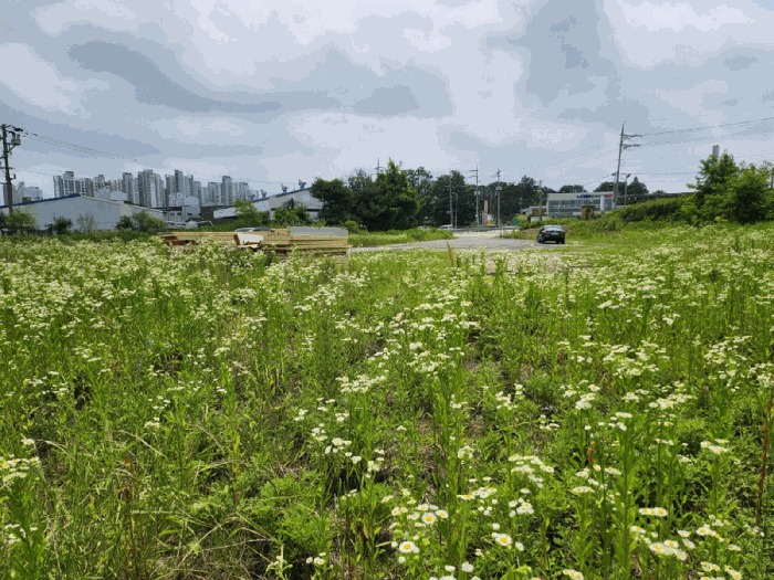 본건 전경(북측촬영)