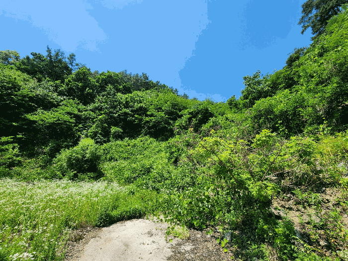 본건 기호(2) 전경