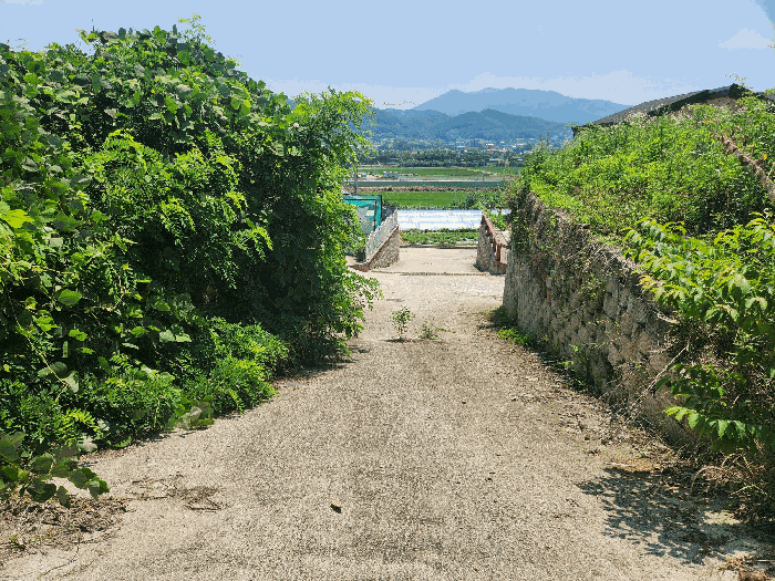 본건 기호(3,4) 전경