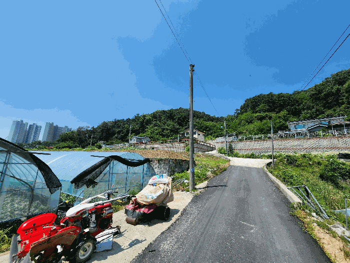 본건 전경
