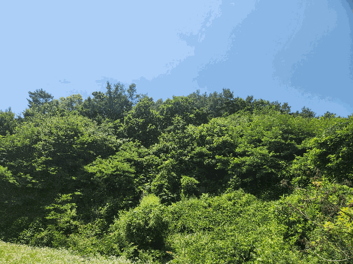 본건 기호(2) 전경