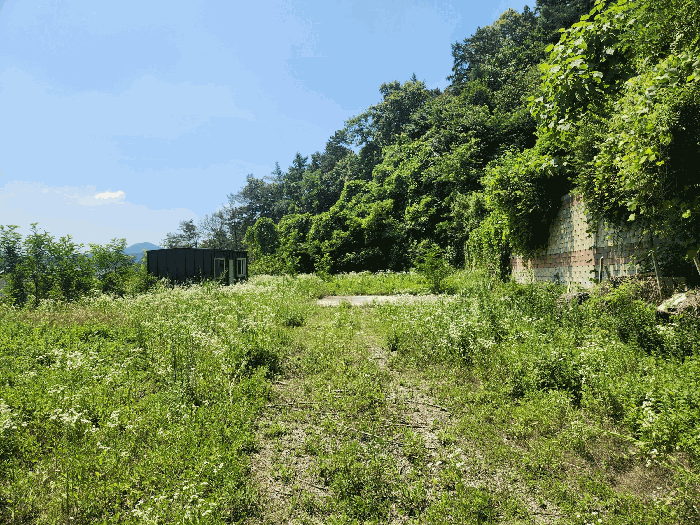 본건 기호(1) 전경