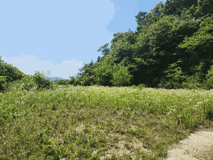 본건 기호(1) 전경