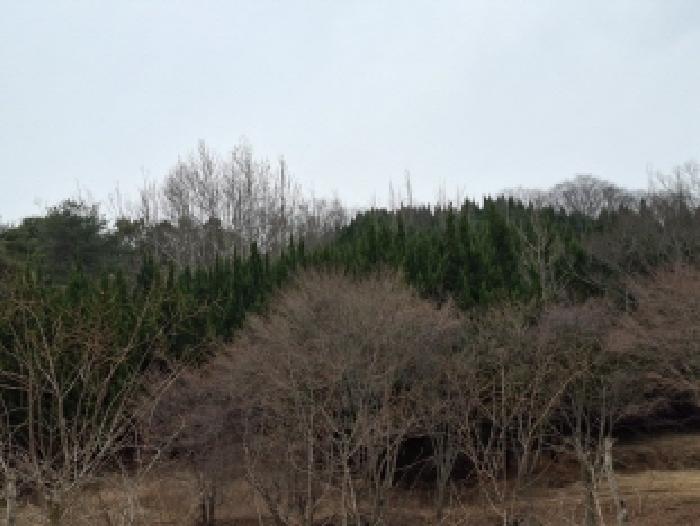 목록번호2.