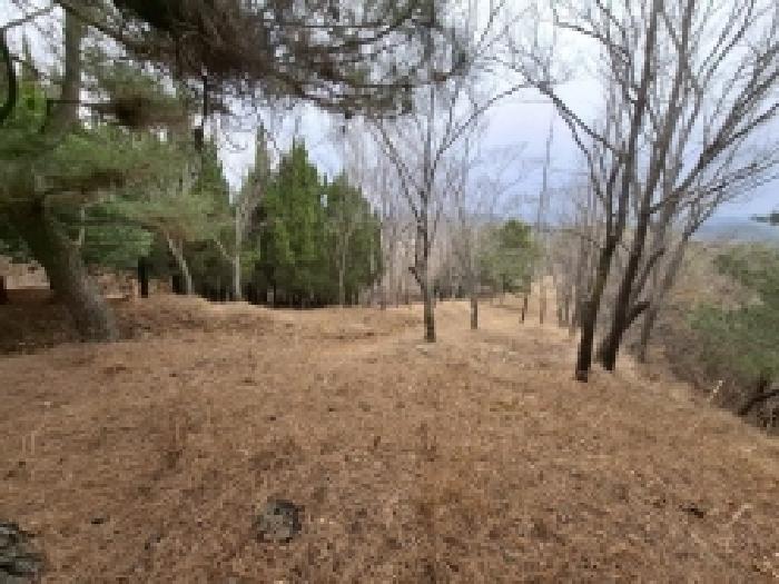 목록번호2.