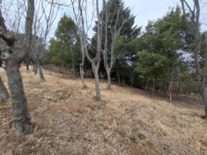 목록번호2.