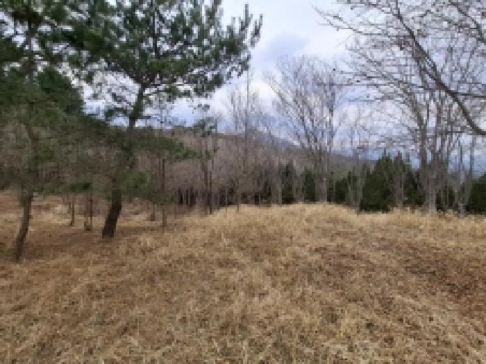 목록번호2.