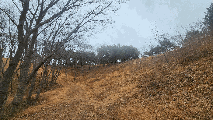 제시외수목(ㄱ)
