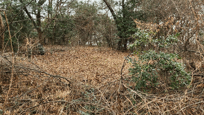 제시외분묘(기호(2) 지상)