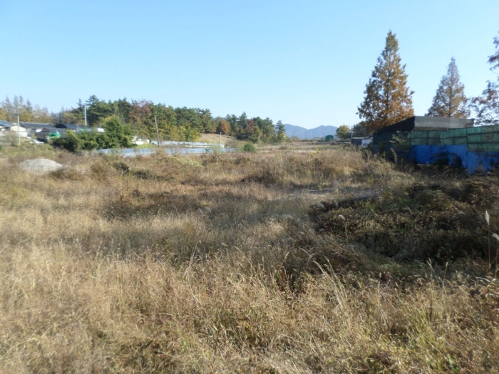 본건 기호[1,3] 토지 전경