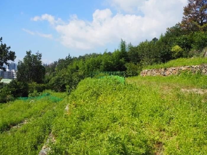 가곡동 산56-37외 전경
