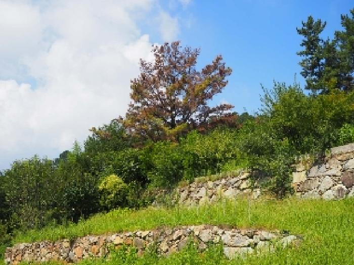 가곡동 산55-1외 전경