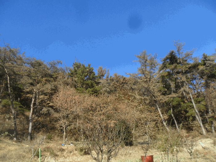 본건전경 기호16
