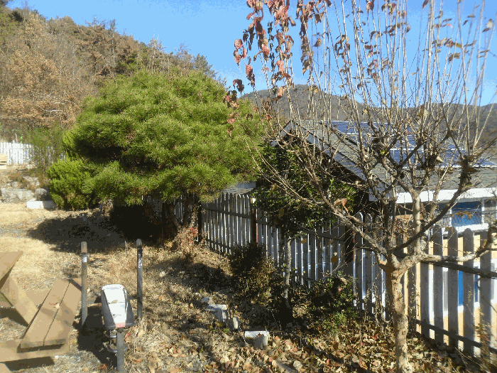 제시외수목 ㄹ