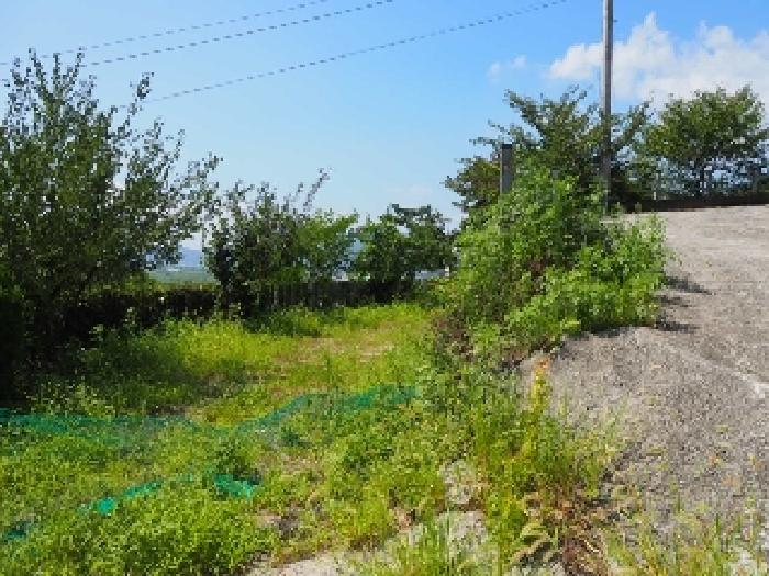 가곡동 산56-37외 전경