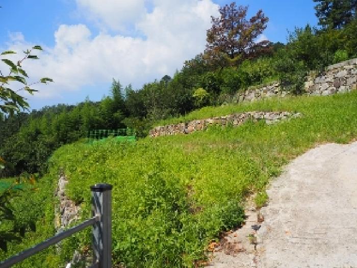 가곡동 산56-37외 전경