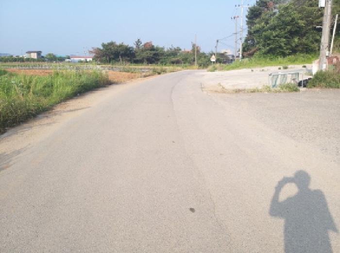 * 본건 목적물 인접도로 전경