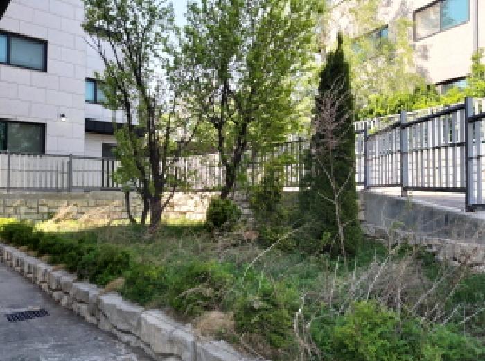 * 본건 목적물 전경(나무)