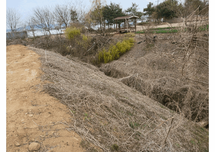 기호9 법면 경사지 근경