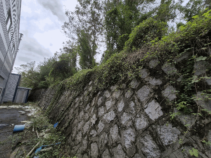 본건 기호(1) 토지 법면 부분