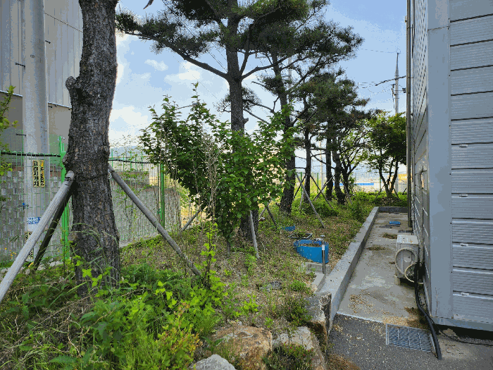 수목(소나무외)