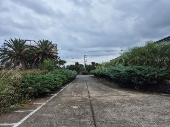 - 소재지 1(내도동 226) 지상에 식재된 조경수 및 시멘트 포장 진입로