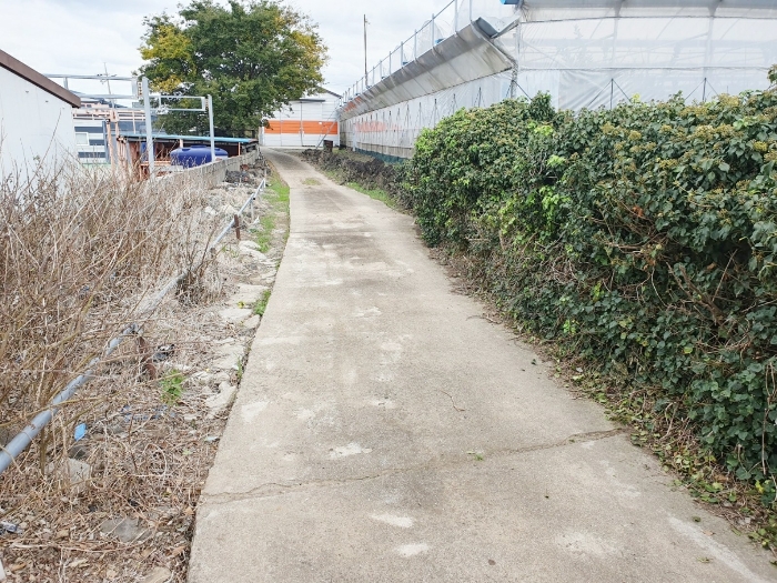 본건 남측으로 접한 포장도로