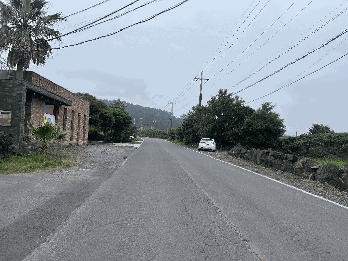 본건 기호(1)