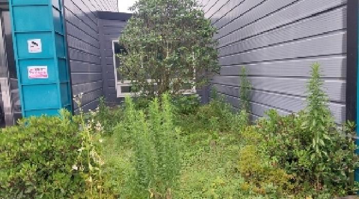 소재지1(송당리 1114-2) 전경3