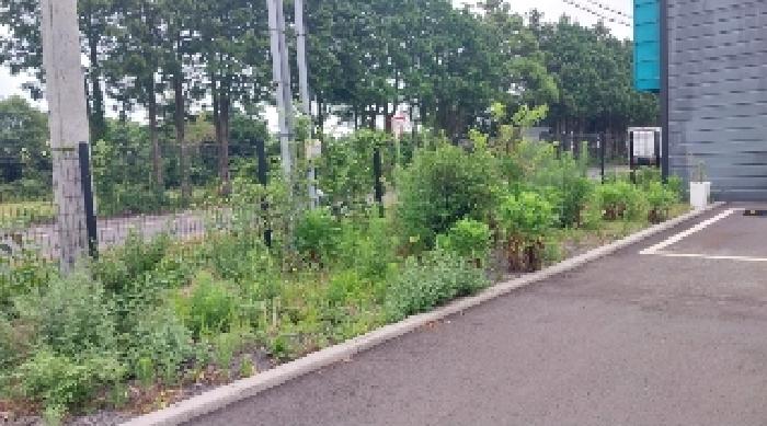 소재지1(송당리 1114-2) 전경2