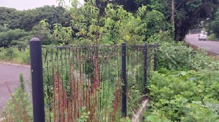 소재지1(송당리 1114-2) 전경4