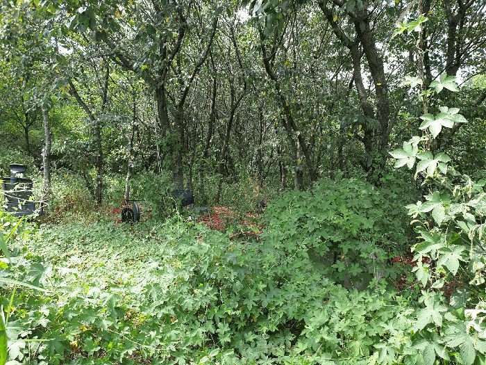 기호(3)지상->남서향 촬영’><br /><img src=