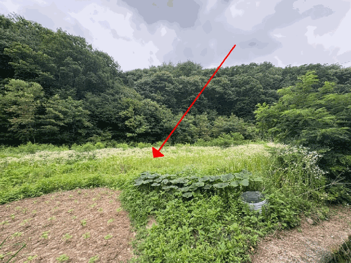 일련번호 1) 