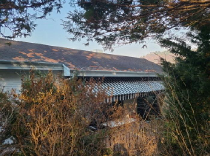 지상층 뒷편 전