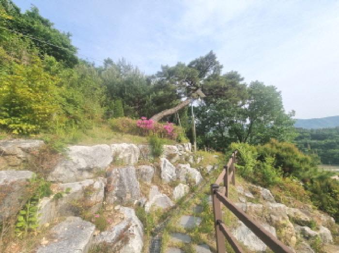 목록2 및 제시외 수목과 데크 모습