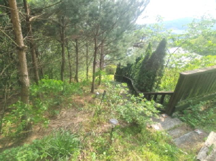 목록2 제시외 수목 및 데크 모습