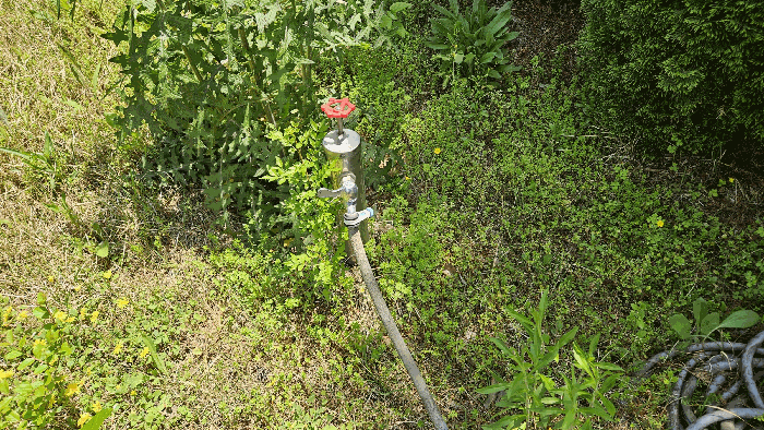 야외수도