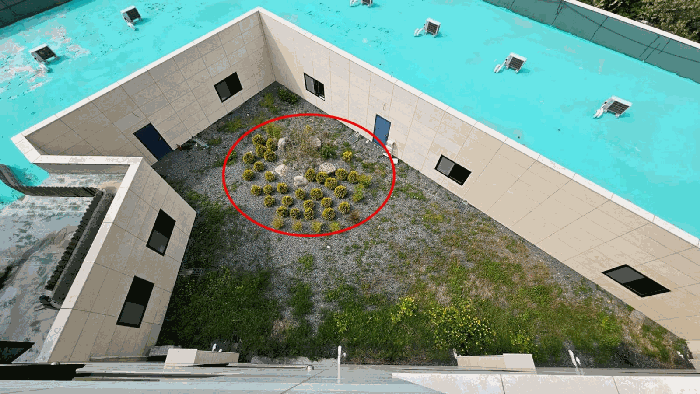 제시외물건㉡ 조